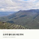 포르투갈 신혼여행 | 오다가다 도우루 밸리 투어 내돈내산 후기 및 할인 정보