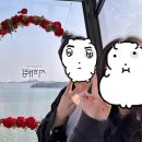 펜션캐빈 | 경기도,서울 근교 나들이, 제부도 케이블카 요금 / 운영시간 / 주차 정보 총정리! 실제 탑승한 후기