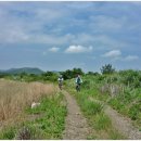 올레목장 이미지