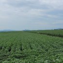 진흥경로당 이미지