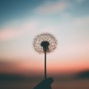 참좋은사람들 네이버블로그