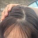 중앙헤어스튜디오 | 박승철헤어스투디오 안산중앙점 톤다운 레이어드컷 소희디자이너 시술 후기!