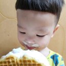 코끼리가반한핫도그&와플 | 코끼리가 반한 핫도그&amp;와플