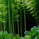 늘 좋은생각 이미지