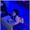 휘트니스 태권도장 이미지