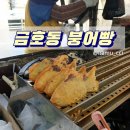 금남시장 붕어빵맛집 추천, 성동구붕어빵파는곳, 금호동붕어빵