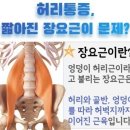 르와짐 이미지