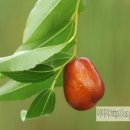 코이노니아 이미지