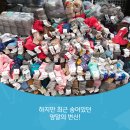 은광상회