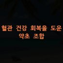 약초활용 생활건강법 | 혈관 건강 회복을 도운 약초 조합