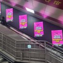 릴리성형외과의원 이미지