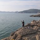 광성민박 이미지