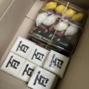 동동이네 | 산본 백일떡 맛집 동동이네설기 구매 후기