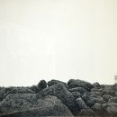 우리지금여기 이미지