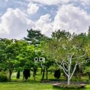 한밭수목원 이미지