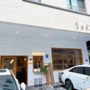 위례 애견동반식당 소코아 내돈내산 후기