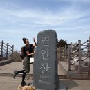 1068 | 가평 연인산 애견동반 강아지랑 등산 해발 1,068m 정상 후기