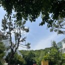 25시햇빛마을부동산공인중개사사무소 | 녹양동gh 호명산빌리지 구해드린 후기