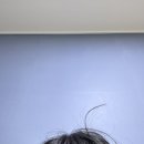 굳센본재활의학과의원 네이버블로그