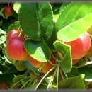 사암농장 이미지