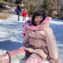 새자연어린이집 이미지