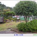 둔덕면사무소 이미지