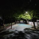 대원아파트산책로 이미지