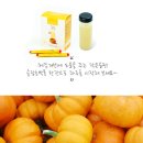 팥&호박