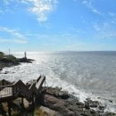 명신관광 이미지