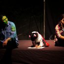 푸른소극장 이미지