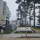 성훈펜션 | 강릉 안목 해변 맛있는 횟집 후기 낭만 있는 방파제 길 걷고 소주 한잔하기 좋은 곳