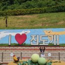 진도개투어