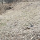 칠곡면사무소 이미지