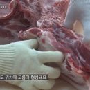 돼지목살. 조심 또 조심해야겠네요. ㅜㅜ.....(혐오스런 동영상 주의) 이미지