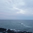 풀스테이 바르 이미지