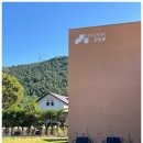 색 | 자연과 미술관 사이, 포천 광릉수목원 카페 사유색 방문 후기