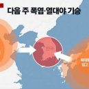 (주)돔돔 이미지