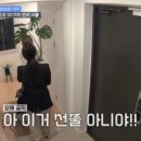 식물101 이미지