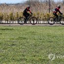 낙동강관리본부 화명생태공원 3 이미지