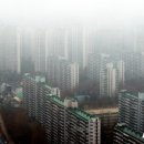 철이부동산중개사무소 네이버블로그