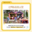 애향어린이집 이미지