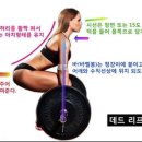 맥시멈스포츠 네이버블로그