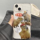 세이프 | 첫 맥세이프 후기 자력 좋은 가성비 최고 예쁜 케이스 추천 말랑팩토리