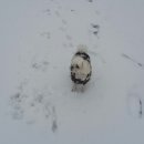 싸리목캠핑장 이미지