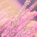 한강 행정사 사무소 이미지