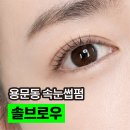 솔브 | 대전 용문동 속눈썹 솔브로우 방문 후기, 여행 전 급하게 예약해봤어요