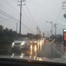 신이난닭 이미지