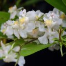 가온하우스 이미지