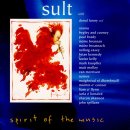 (켈틱뮤직) John McSherry - Sult Theme 이미지