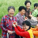 부산보조기 이미지